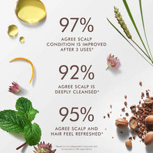 Load image into Gallery viewer, Moroccanoil Purifying Pre-Wash Scalp Scrub